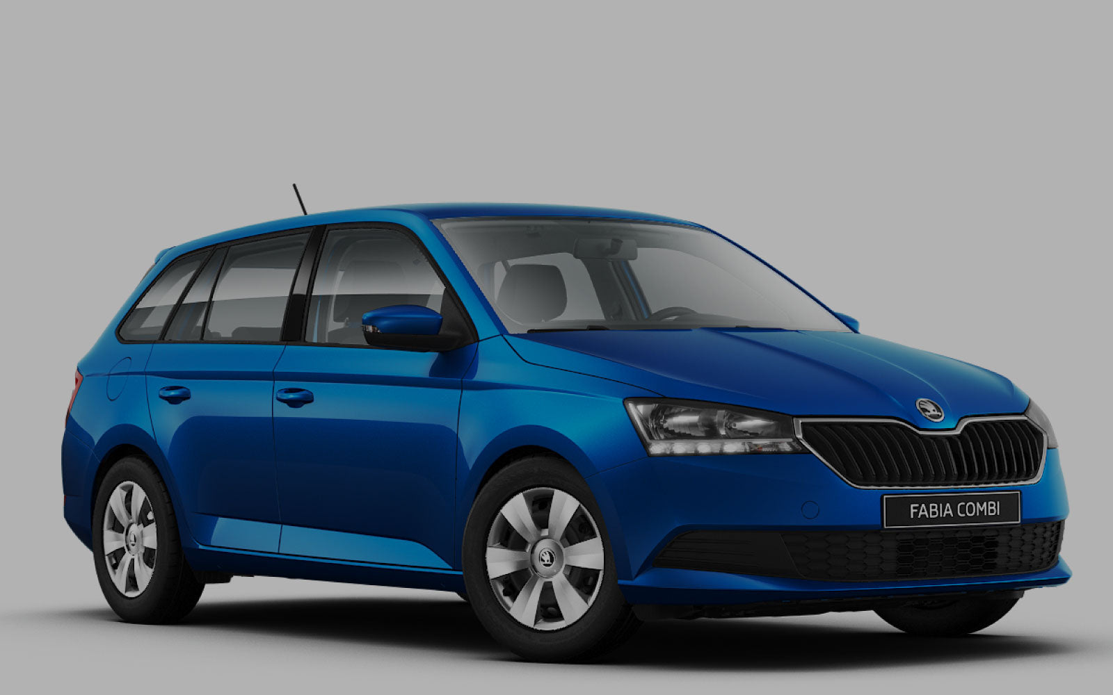 FABIA SW